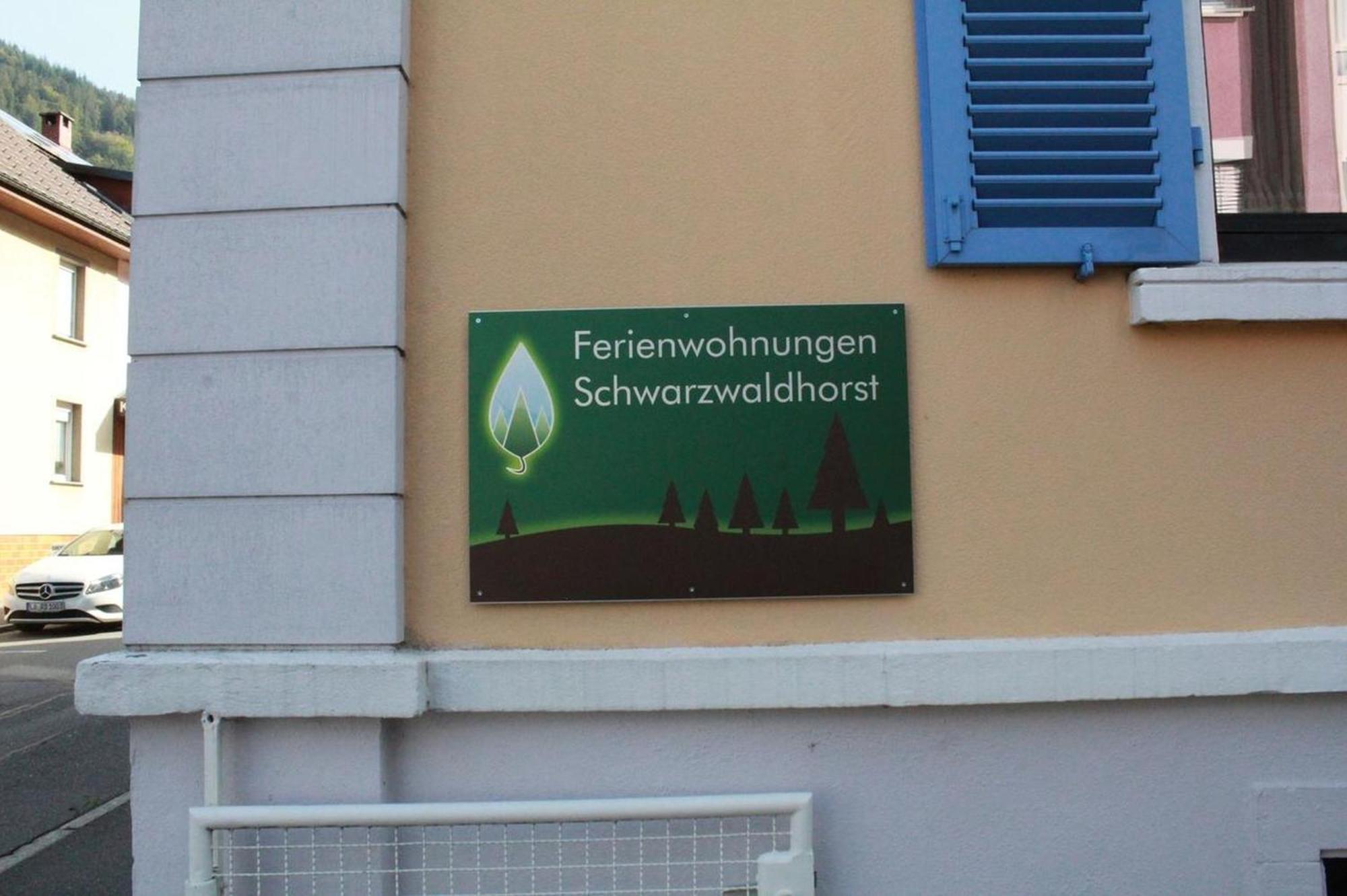 Schwarzwaldhorst Fewo 1 - 4 Schlafzimmer - Todtnau, Feldberg Exterior foto